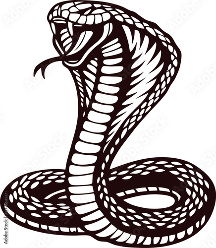 Aggressive cobra snake with open hood and exposed fangs in bold black and white  illustration