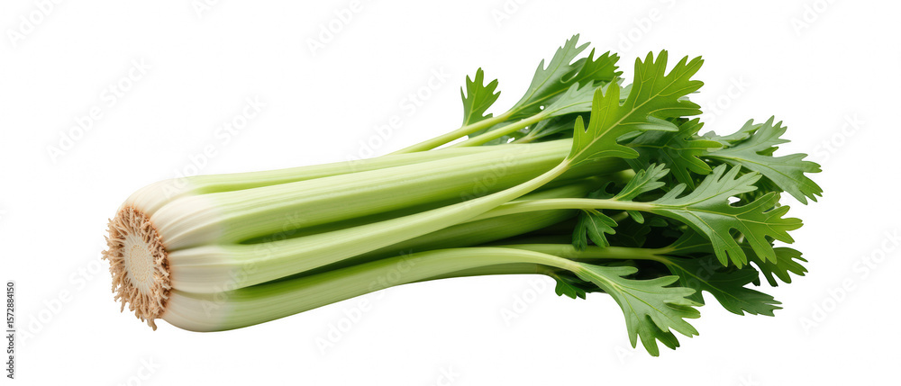Fototapeta premium Fresh celery stalks with vibrant green leaves, perfect for healthy dishes and snacks. Crisp texture and rich flavor enhance salads and soups