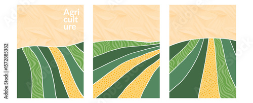 Rural eco farmland background with abstract pattern, vector vineyard field, green nature texture, tea design, grape illustration, collage art, flat layout, organic view poster, landscape corn