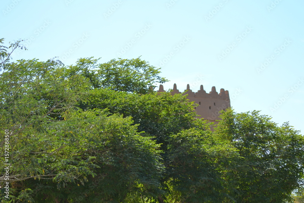 castle in the forest in riyadh city castle in the forest in riyadh city