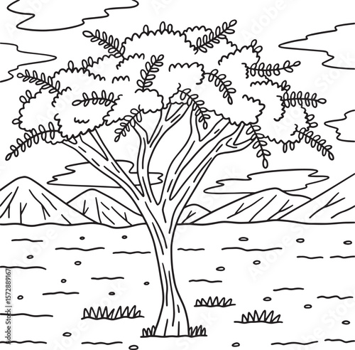 Desert Acacia Tree Coloring Page for Kids 