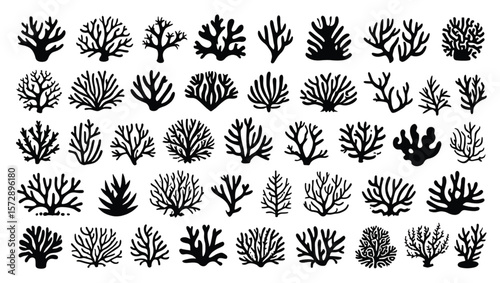 Black coral silhouettes on white background ocean