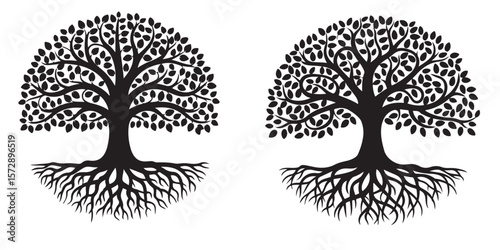  black vector family tree silhouette 