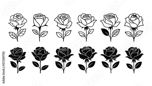 Delicate rose outlines and silhouettes with leaves flower black and white