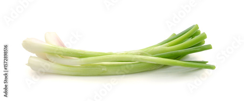 Green Onions 