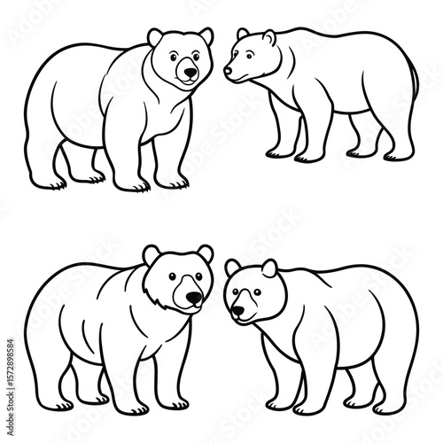 Two pairs of bears standing animals wildlife