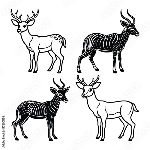 Antelope deer and gazelle animal wildlife