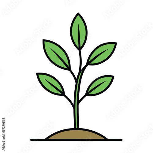 Growing Plant Vector on White Background 