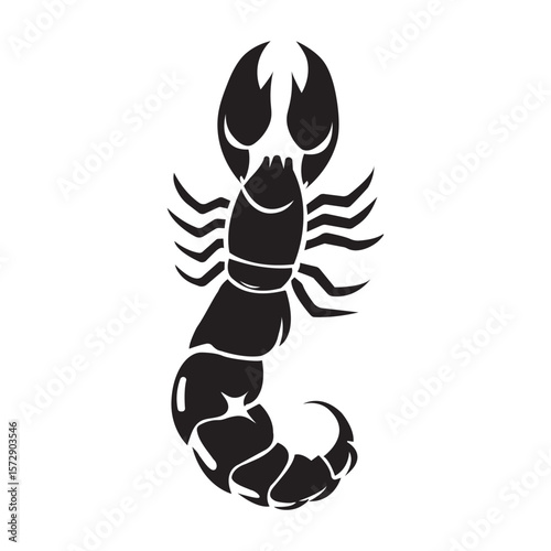 A new  Aquarius silhouette vector design  on white background.