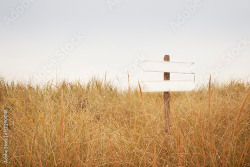 Signpost with blank arrow signs in field of grass