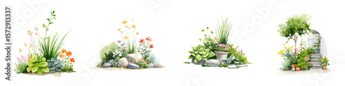 Watercolor Garden Design Elements: Floral Illustrations on White