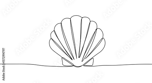 Line art shell illustration on minimalistic background