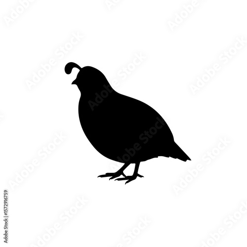 Quail silhouette vector flat illustration design.