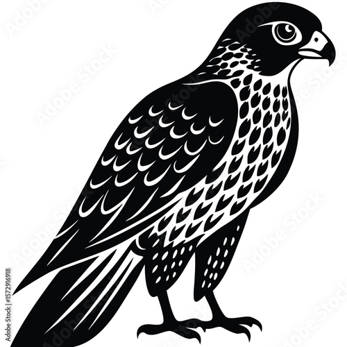 black and white falcon bird clip art preview