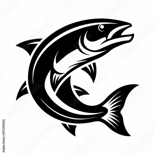 fish vector illustration