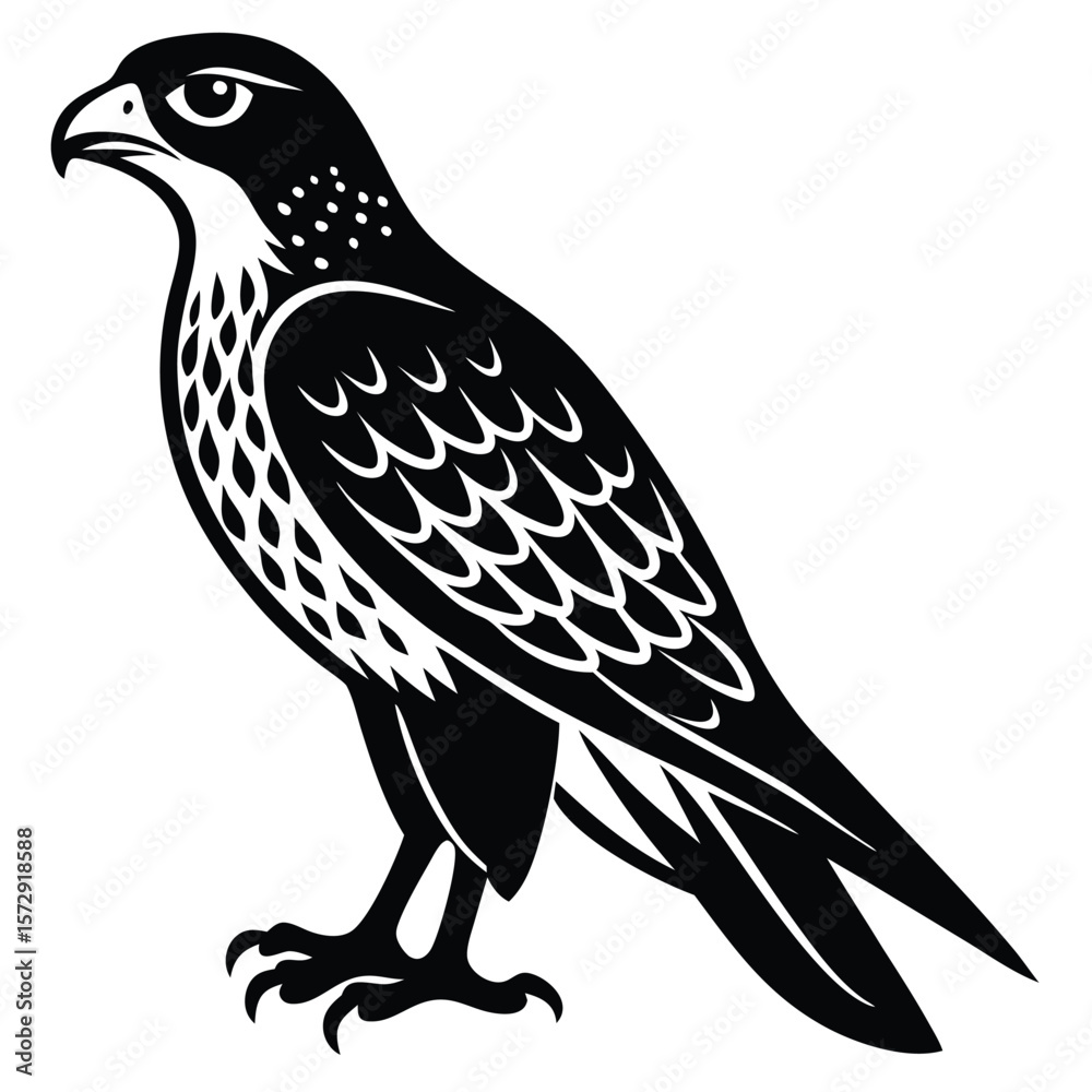 Fototapeta premium Hawk single bird vector shilhouette 