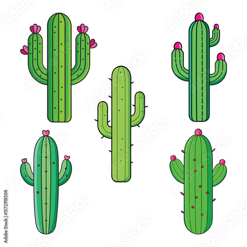Green cacti with pink flowers cactus