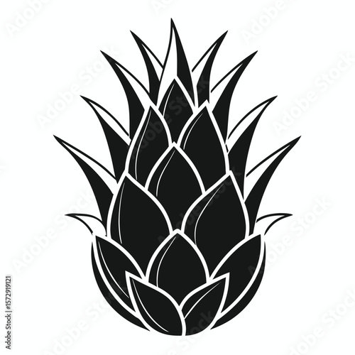 Black and White Dragonfruit Silhouette Isolated on White Background