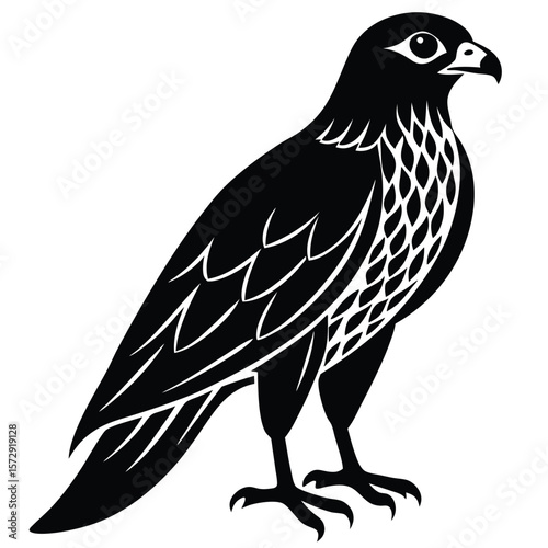 Hawk single bird vector shilhouette 