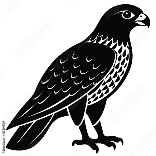 Hawk single bird vector shilhouette 