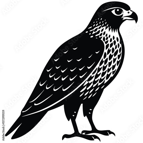 Hawk single bird vector shilhouette 
