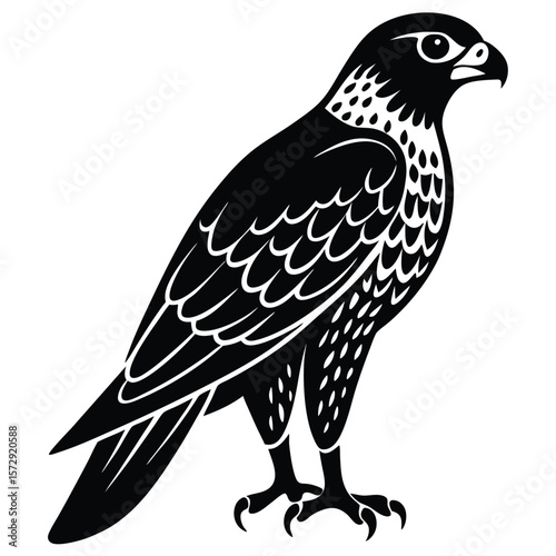 Hawk single bird vector shilhouette 