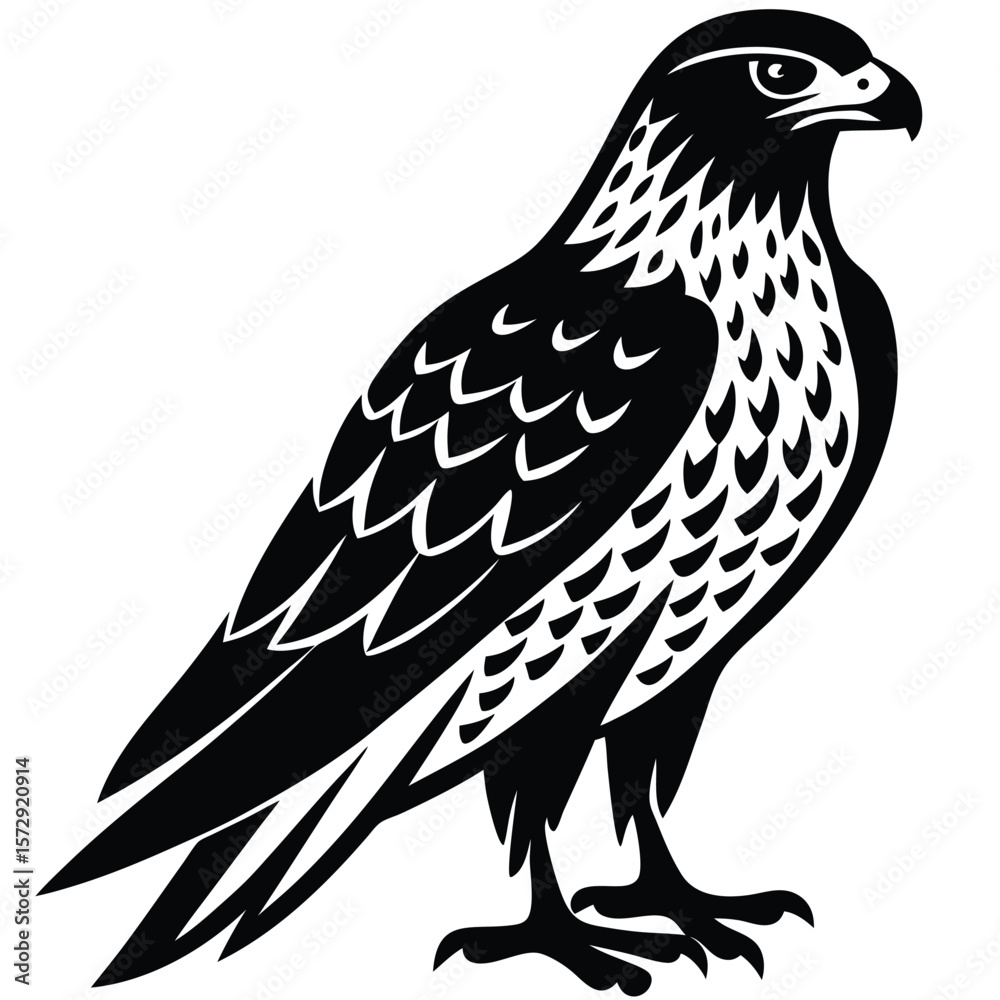 Fototapeta premium Hawk single bird vector shilhouette