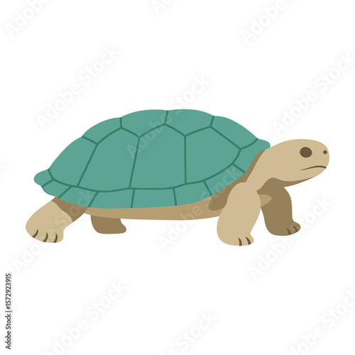 A charming cartoon turtle with a teal shell is strolling along, showcasing its adorable features against a clean white backdrop