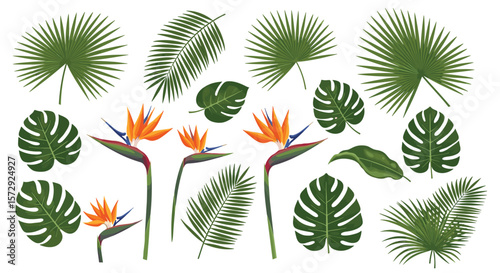 Vibrant tropical floral arrangement with exotic leaves and bird of paradise flowers