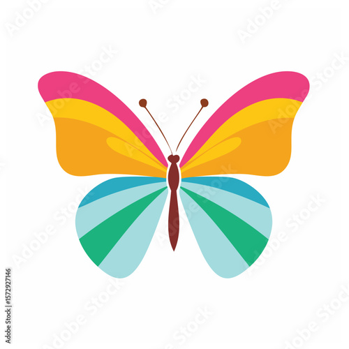 Colorful butterfly