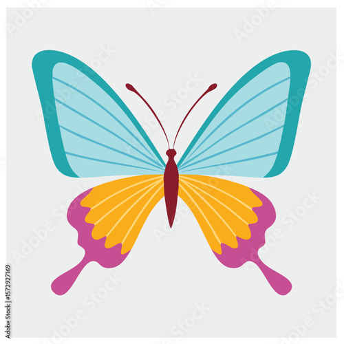 Colorful butterfly