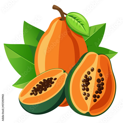 Fresh Papaya Fruit with Leaves - Tropical Vegan Food Vector