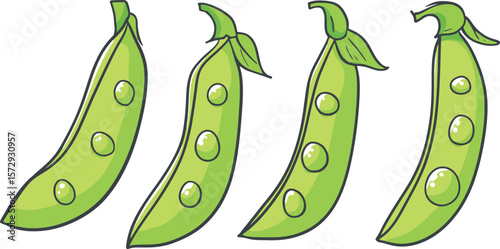 Illustration of four green pea pods in a row on white background