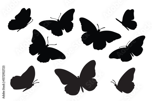 Monarch Butterfly Silhouette Vector Collection – Elegant Insect Shapes on White Background
