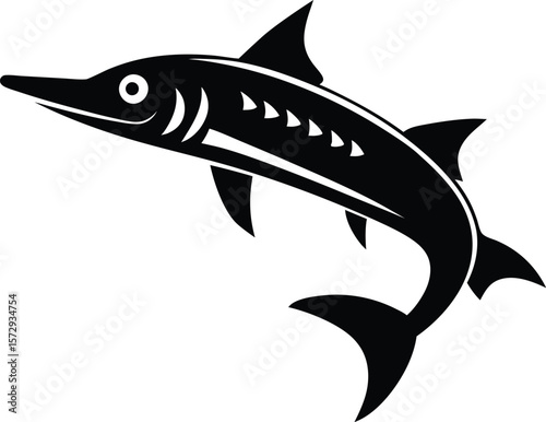  barracuda fish on white background
