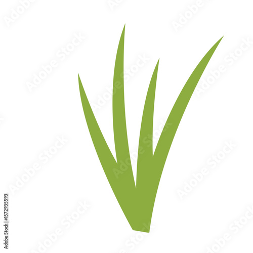 Green grass with long leaves symbolizing freshness and vitality in a natural setting.