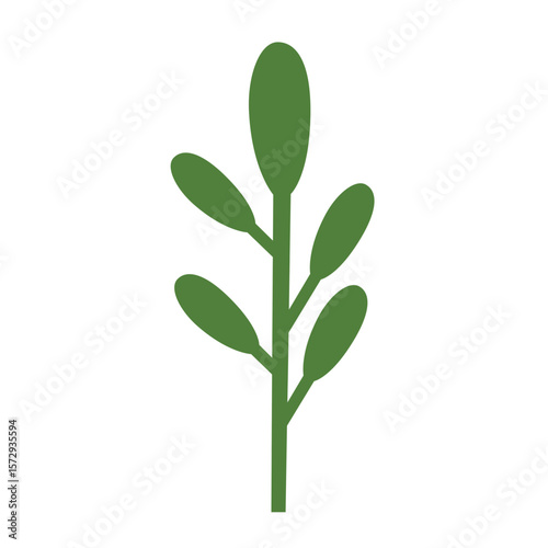 Green leaf with a short stalk highlighting simplicity and natural beauty.