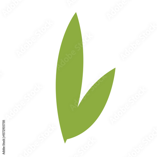 Green leaf with a short stalk highlighting simplicity and natural beauty.