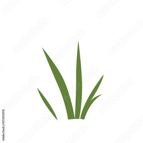 Green grass with short leaves symbolizing compactness and harmony in nature.