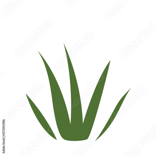 Green grass with short stalks highlighting simplicity and natural beauty.