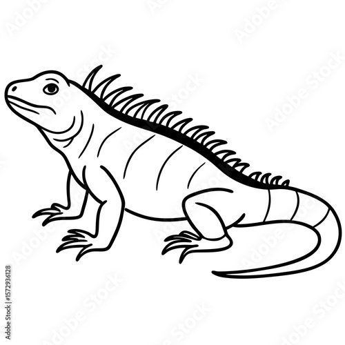 Stylized Iguana Linework