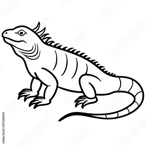 Stylized Iguana Linework