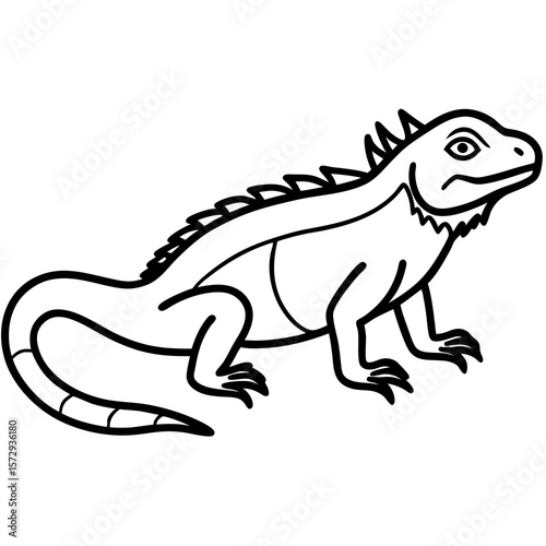 Stylized Iguana Linework