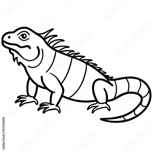 Stylized Iguana Linework