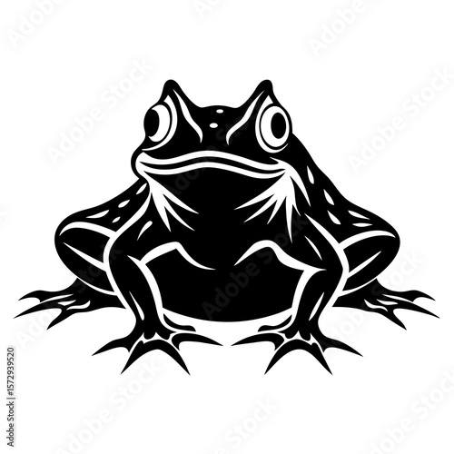frog vector illustration