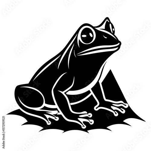 frog vector illustration