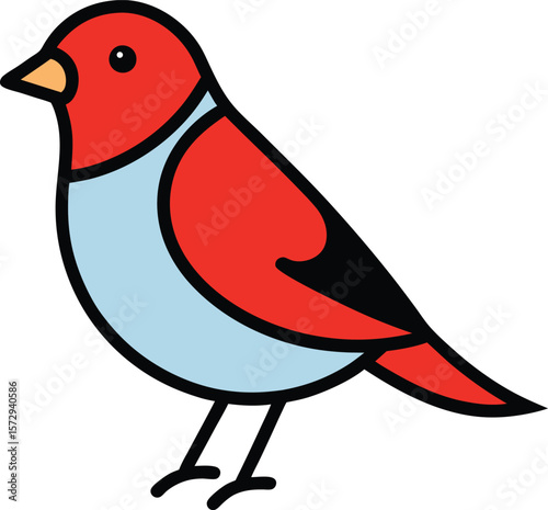 finch bird with white background