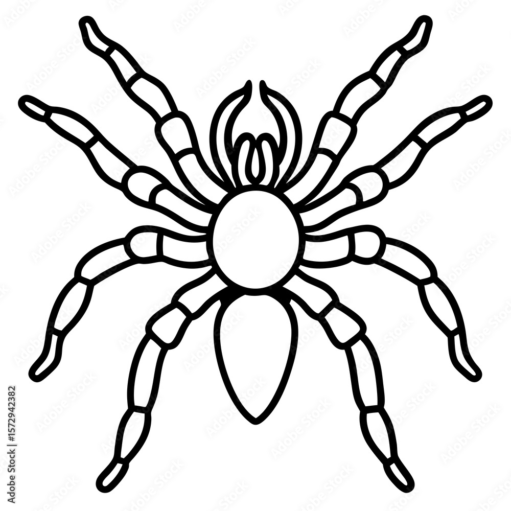 Obraz premium Tarantula Outline Art