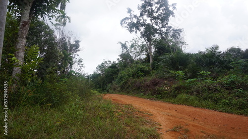 Rural Dirt Road in the Hills of West Kalimantan, Indonesia