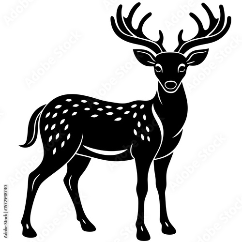 deer vector illustration
